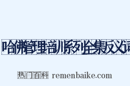 哈佛管理培训系列全集反义词是什么意思的图片